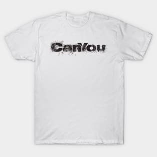 can you see me T-Shirt